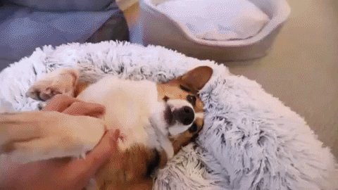 Deras nya favoritplats